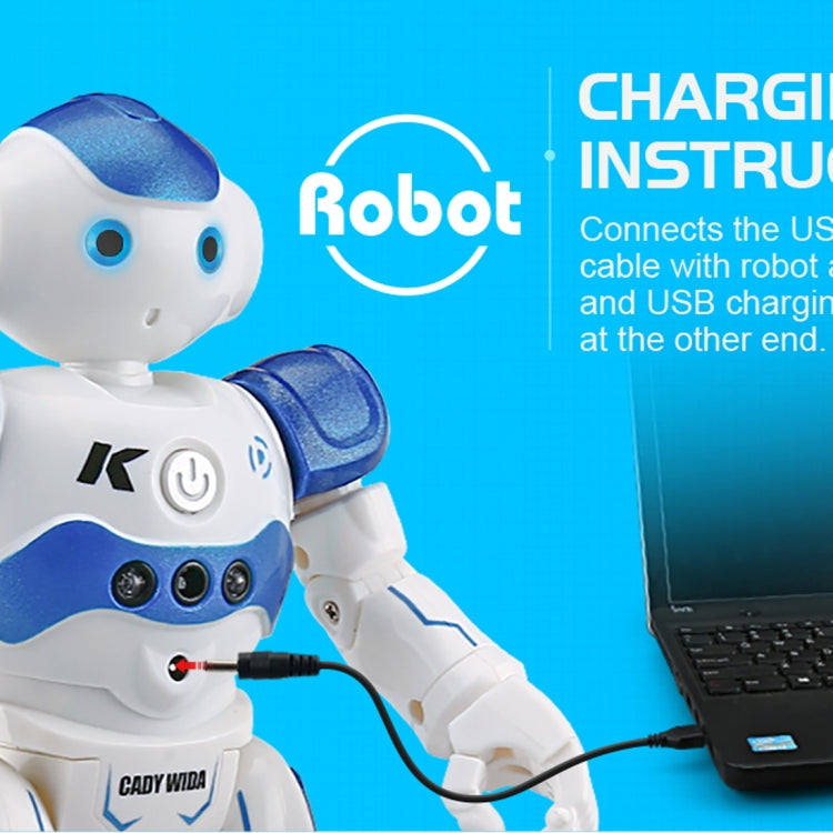 JJR/C R2 CADY WIDA RC Robot Gesture Sensor Dancing Intelligent Program Toy Gift for Children Kids Entertainment with Remote Control, R2