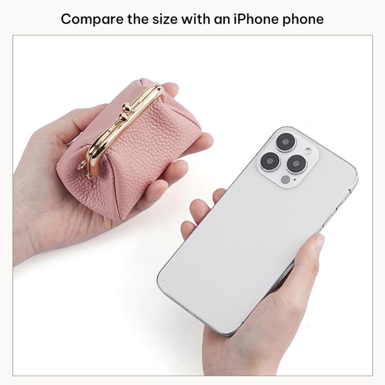 Small Clip Locking Coin Purse