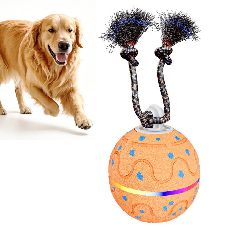 O21 Smart Automatic Pet Toy Ball Dog Training with Light & Sound & Rope, O21