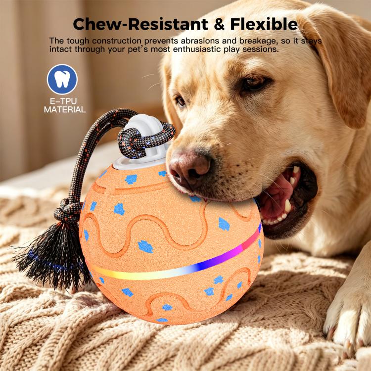 O21 Smart Automatic Pet Toy Ball Dog Training with Light & Sound & Rope, O21