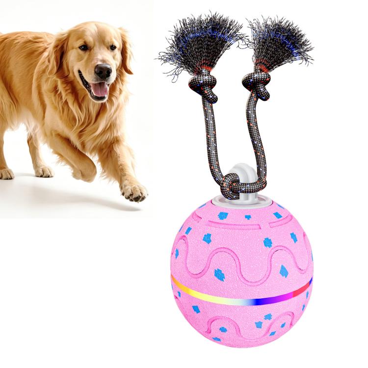 O21 Smart Automatic Pet Toy Ball Dog Training with Light & Sound & Rope, O21