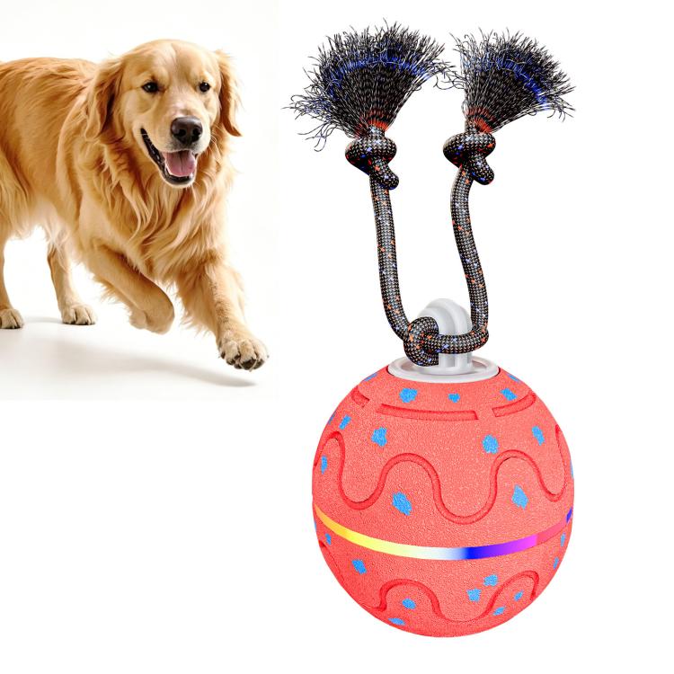 O21 Smart Automatic Pet Toy Ball Dog Training with Light & Sound & Rope, O21