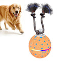 O22 Smart Automatic Pet Toy Ball Dog Training with Light & Sound & Rope, O22