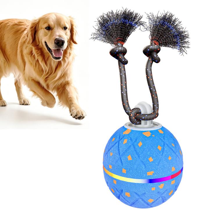 O22 Smart Automatic Pet Toy Ball Dog Training with Light & Sound & Rope, O22
