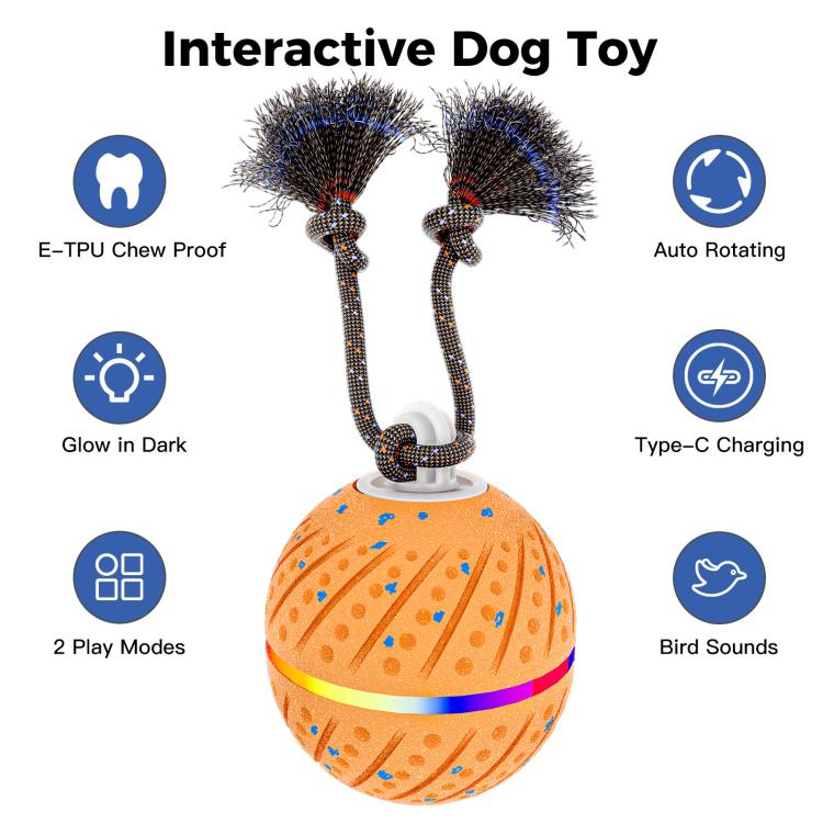 O24 Smart Automatic Pet Toy Ball Dog Training with Light & Sound & Rope, O24