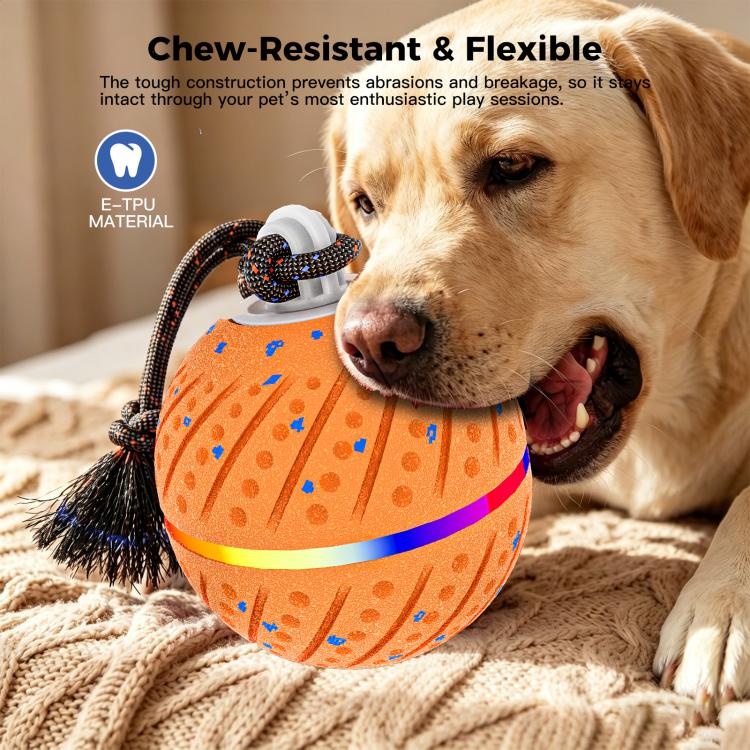 O24 Smart Automatic Pet Toy Ball Dog Training with Light & Sound & Rope, O24