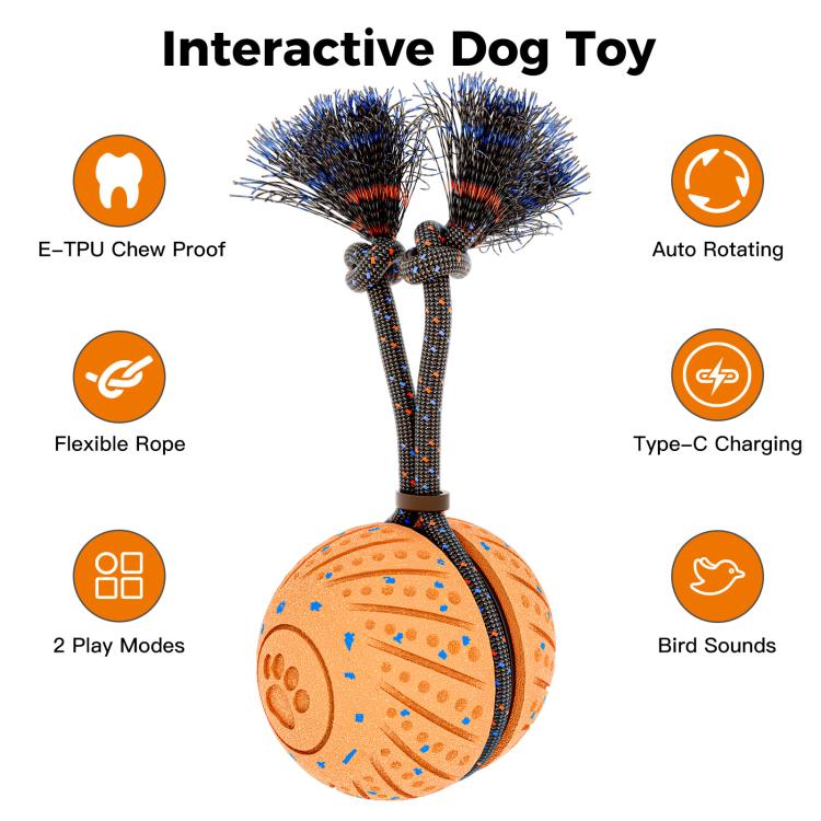 O30 Smart Automatic Pet Toy Ball Dog Training with Sound & Rope, O30