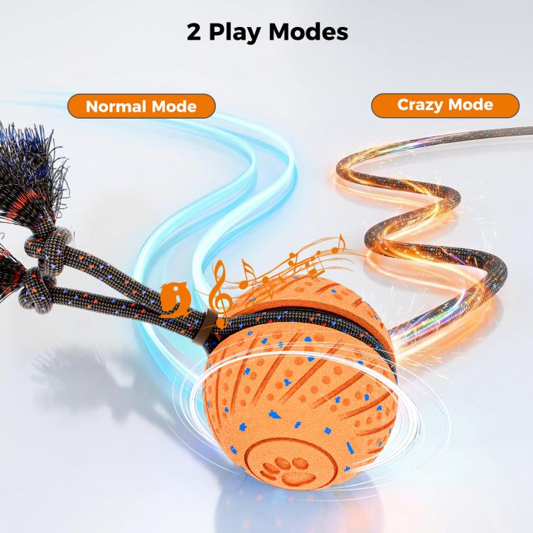 O30 Smart Automatic Pet Toy Ball Dog Training with Sound & Rope, O30