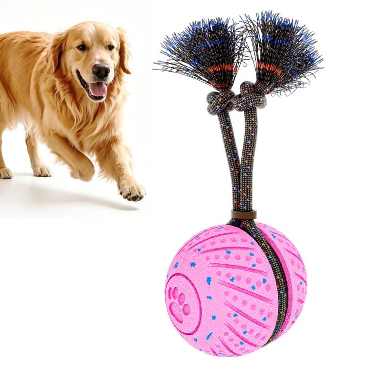 O30 Smart Automatic Pet Toy Ball Dog Training with Sound & Rope, O30