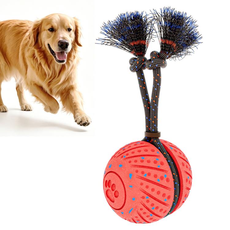 O30 Smart Automatic Pet Toy Ball Dog Training with Sound & Rope, O30