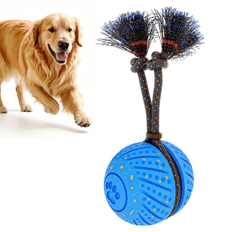 O30 Smart Automatic Pet Toy Ball Dog Training with Sound & Rope, O30