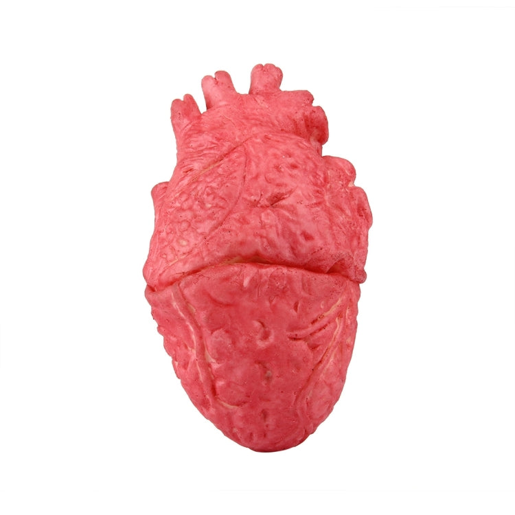 Popular Funny Halloween Props Fake Heart, Fake Heart