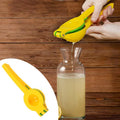 LsCook Aluminum Alloy Manual Dual Layers Lemon Juicer, Random Color Delivery, Aluminum Alloy