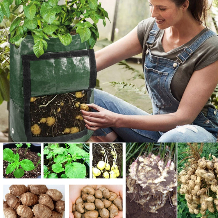 2 PCS 7 Gallons Potato Planting PE Bags Woven Fabric Bags Cultivation Garden Pots Vegetable Planting Bags Grow Bags Farm Garden Supplies, Orange, Yellow, Green, Black
