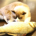 Simulation Fish Toy Funny Cat Toy Fish Stuff Scratching Post Board Toy, Middle Size: 41.0 x 13.5 x 9.0cm, Size: 41.0x13.5x9.0cm