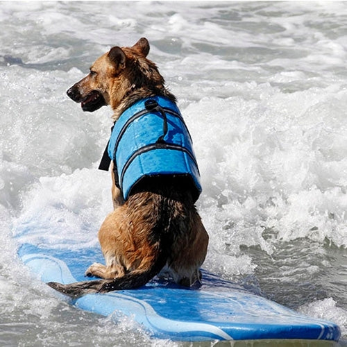 Pet Saver Dog Reflective Stripes Life Vest Jacket for Swimming Boating Surfing, Size: XS, Size: XS
