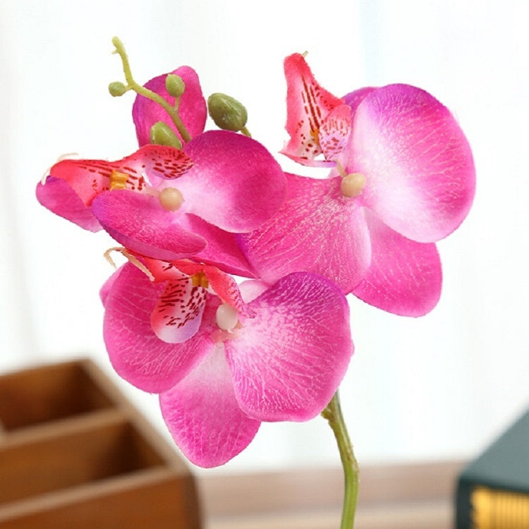 Decorative Landscaping Round Pot Three Flowers Phalaenopsis Bonsai Simulation Potted Plants
