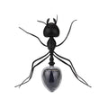 Ant Power Robot Toy Bug Solar Energy Powered Toy Novelty Gadget Toy For Children, Ant Power Robot Toy