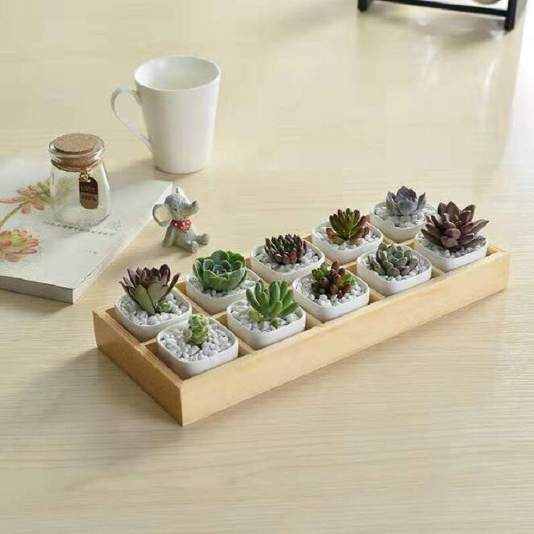 Succulent Wooden Storage Box Landscape Garden Decoration, 3 Cells, 5 Cells, 6 Cells, 10 Cells