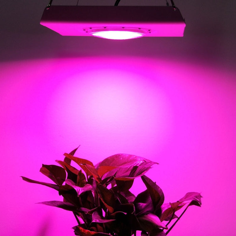 75W Plant Growth Light Ultra-Thin High-Brightness Full-Spectrum COB Indoor Greenhouse Light With Plug, UK Plug, US Plug, EU Plug, AU Plug