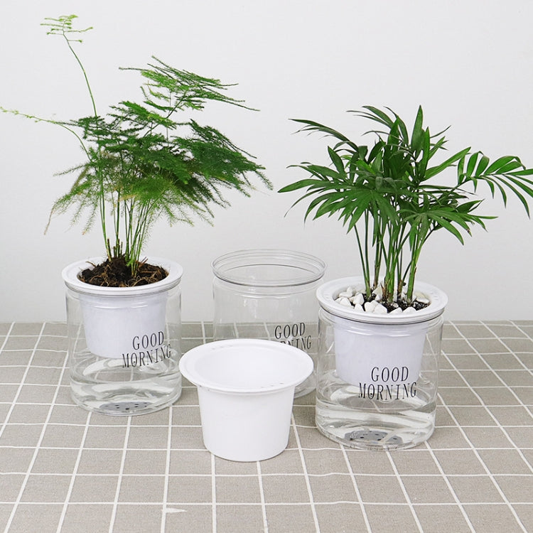 Automatic Water Absorption Hydroponic Pot Succulent Plant Flower Pot, Transparent With Words