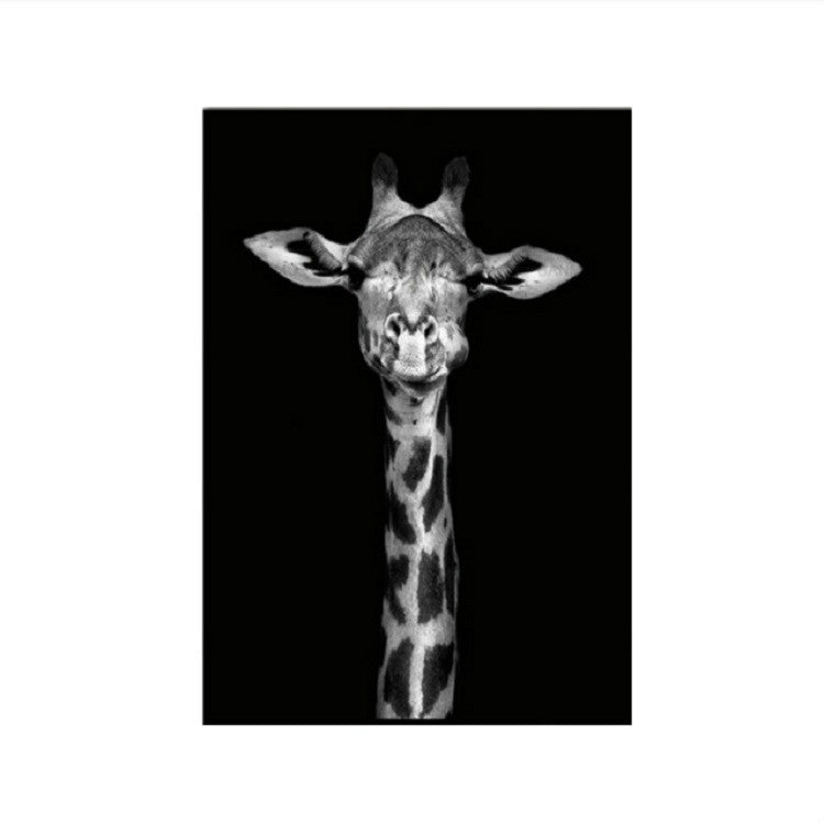 Simple Black and White Animal Decoration Painting Study Living Room Sofa Background Wall Painting Without Frame, 21X30cm, 40X50cm