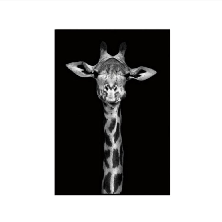 Simple Black and White Animal Decoration Painting Study Living Room Sofa Background Wall Painting Without Frame, 21X30cm, 40X50cm
