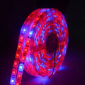 5m 300 LEDs SMD 5050 Full Spectrum LED Strip Light Fitolampy Grow Lights for Greenhouse Hydroponic Plant, Non Waterproof, Waterproof