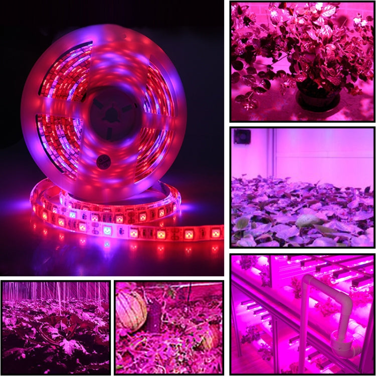 5m 300 LEDs SMD 5050 Full Spectrum LED Strip Light Fitolampy Grow Lights for Greenhouse Hydroponic Plant, Non Waterproof, Waterproof