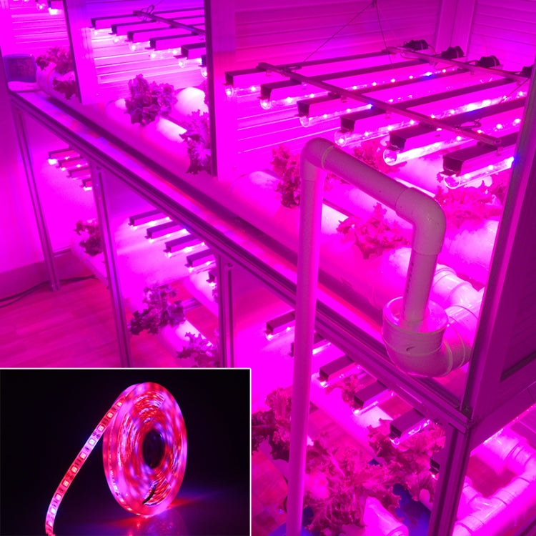 5m 300 LEDs SMD 5050 Full Spectrum LED Strip Light Fitolampy Grow Lights for Greenhouse Hydroponic Plant, Non Waterproof, Waterproof