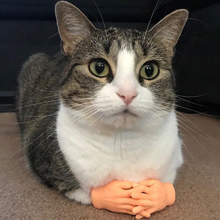 Pet Massage Finger Cots and Cat Gloves, Massage Finger
