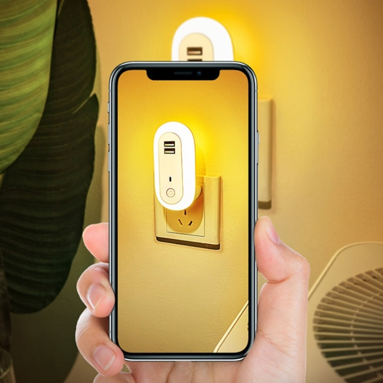 Remote Control Timer Dimming Night Light Bedroom Socket LED Wall Light, CN Plug, Dual-USB, Regular