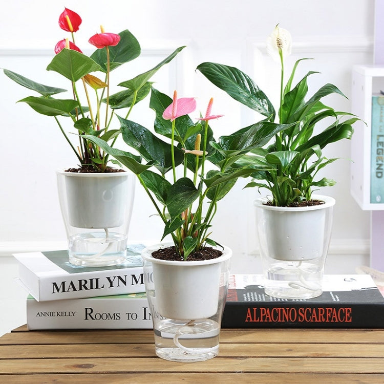 Fully Transparent Hydroponic Flower Pots Water Level Visible Non-Broken Glue Self-Absorbent Plastic Flower Pots, H102 Caliber 9cm, W03 Caliber 11cm, W05 Caliber 13cm, W09 Caliber 17.5cm, W10 Caliber 17.5cm