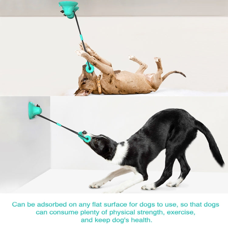 Dog Toy Double Suction Cup Pull Rope Molar Teeth Bite-Resistant Tooth Cleaning Stick Pet Supplies, Lake Blue, Green