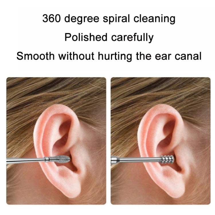 6 In 1 Stainless Steel Spring Spiral Portable Ear Pick, Black Leather Case, Black