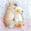 Hoopet Dog Biting Toy Pet Plush Duckling Sound Toy, Small, Large