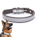 CL181K Pet Soft Reflecting Collar, L No Iron Sheet Pink, XL No Iron Sheet Dark Brown, XS No Iron Sheet Dark Brown, M No Iron Sheet Black, L No Iron Sheet Light Green, XL No Iron Sheet Light Brown, XS No Iron Sheet Light Brown, M No Iron Sheet Dark Blue...