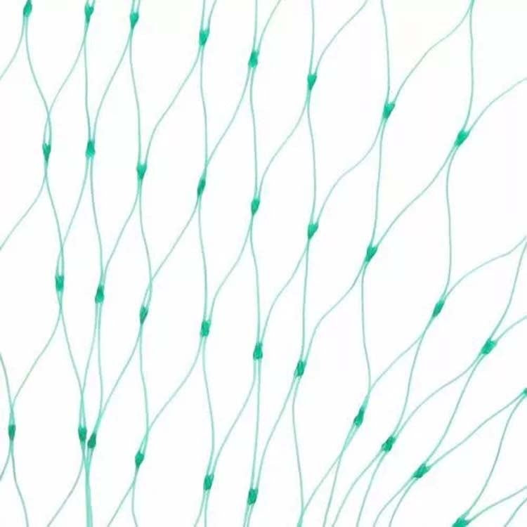 Anti Bird Protection Net Mesh Garden Plant Netting Protect Plants and Fruit, 2Mx10M, 4Mx5M, 4Mx10M, 4Mx12M, 5Mx10M, 5Mx20M, 4Mx15M