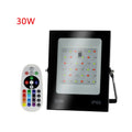 Colorful RGB Changing LED Flood Light With Remote Control, 30W, 100W