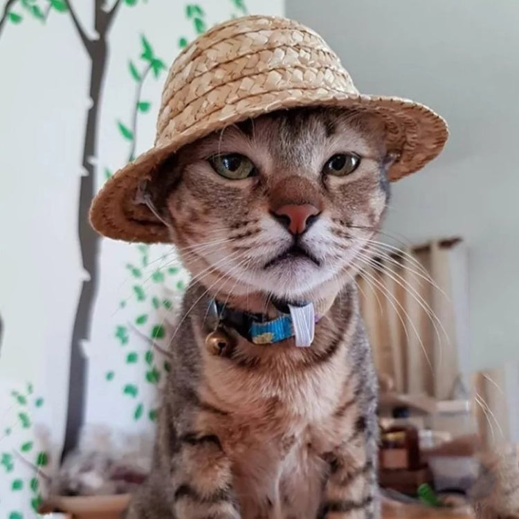 Mini Pet Straw Hat Cat Dog Birthday Party Sun Visor Hat, S 10cm, M 13cm, L 16cm, XL 20cm