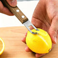 LsCook Stainless Steel Cheese Grater Walnut Handle Lemon Zester Fruit Grater and Peeler