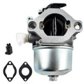 Lawnmower Carburetor For Briggs & Stratton 699831 / 694941 / 499158 / 286707 / 289702, For Briggs & Stratton 699831