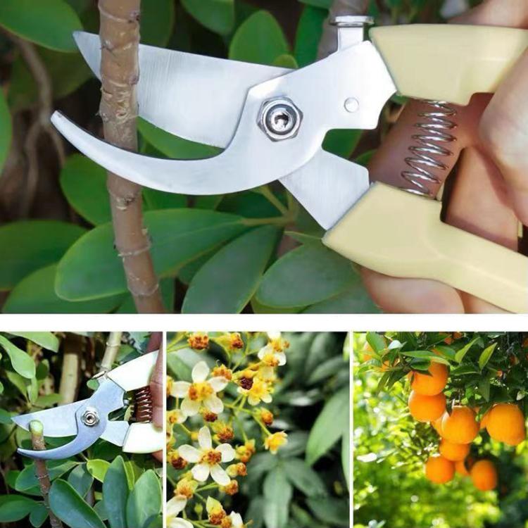 LsCook Heavy-Duty Stainless Steel Pruning Shears Multi-Purpose Gardening Shears, Ivory White Straight-Blade Card Packaging, Ivory White Curved-Blade Card Packaging