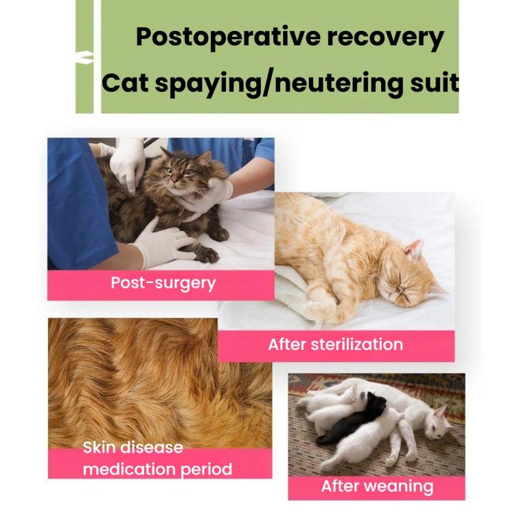 Summer Elastic Breathable Cat Surgery Suit, Pets Lick-Proof Cool Postoperative Recovery, S Blue, M Blue, L Blue, S Pink, M Pink, L Pink, S Purple, M Purple, L Purple