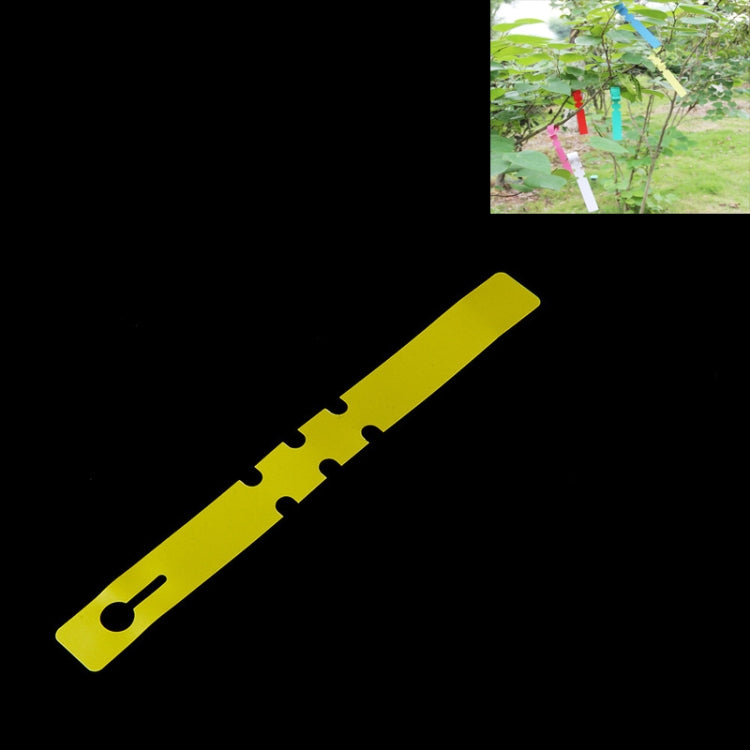 100 PCS Gardening Plant Sapling Seed Hanging Tree Label, Plant Label 5 Yellow, Plant Label 5 Green, Plant Label 5 Blue, Plant Label 5 Red, Plant Label 5 White, Plant Label 5 Pink