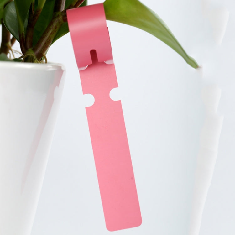100 PCS Gardening Plant Sapling Seed Hanging Tree Label, Plant Label 5 Yellow, Plant Label 5 Green, Plant Label 5 Blue, Plant Label 5 Red, Plant Label 5 White, Plant Label 5 Pink