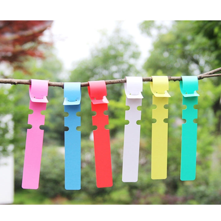 100 PCS Gardening Plant Sapling Seed Hanging Tree Label, Plant Label 5 Yellow, Plant Label 5 Green, Plant Label 5 Blue, Plant Label 5 Red, Plant Label 5 White, Plant Label 5 Pink
