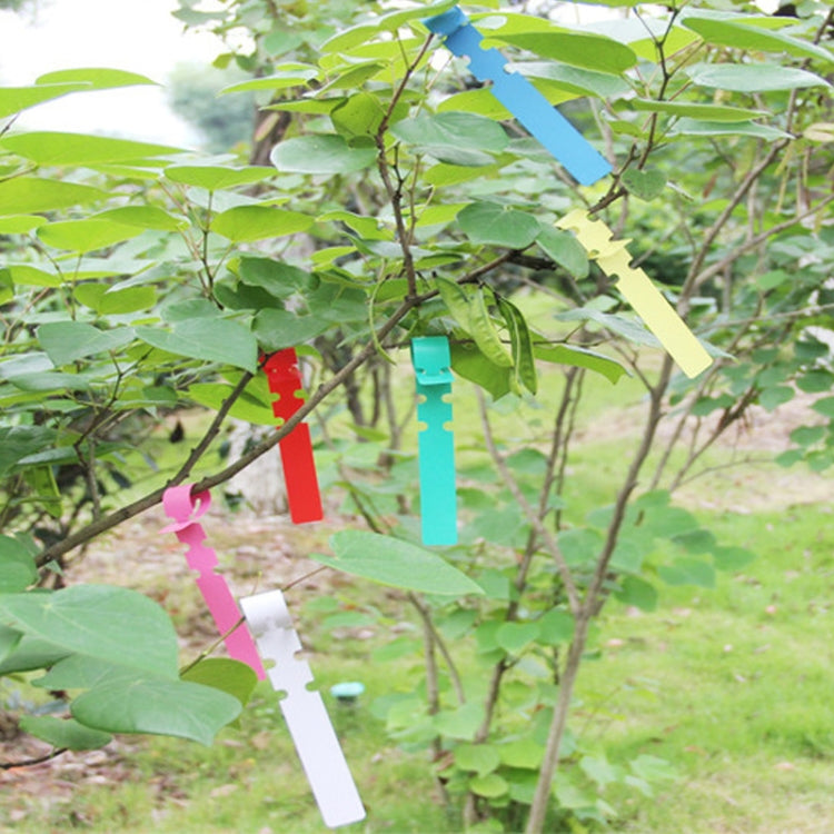 100 PCS Gardening Plant Sapling Seed Hanging Tree Label, Plant Label 5 Yellow, Plant Label 5 Green, Plant Label 5 Blue, Plant Label 5 Red, Plant Label 5 White, Plant Label 5 Pink