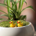 5 PCS Mini Doll House Accessories Resin Three-dimensional Small Yellow Duck Plant Decoration, Yellow Duck Plant Decoration